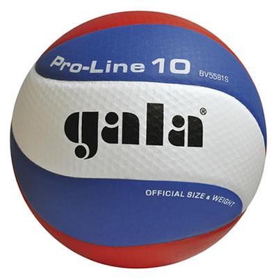 Míč volejbalový Gala Pro line 5581s